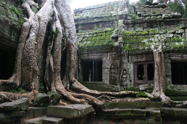 Angkor Wat 6